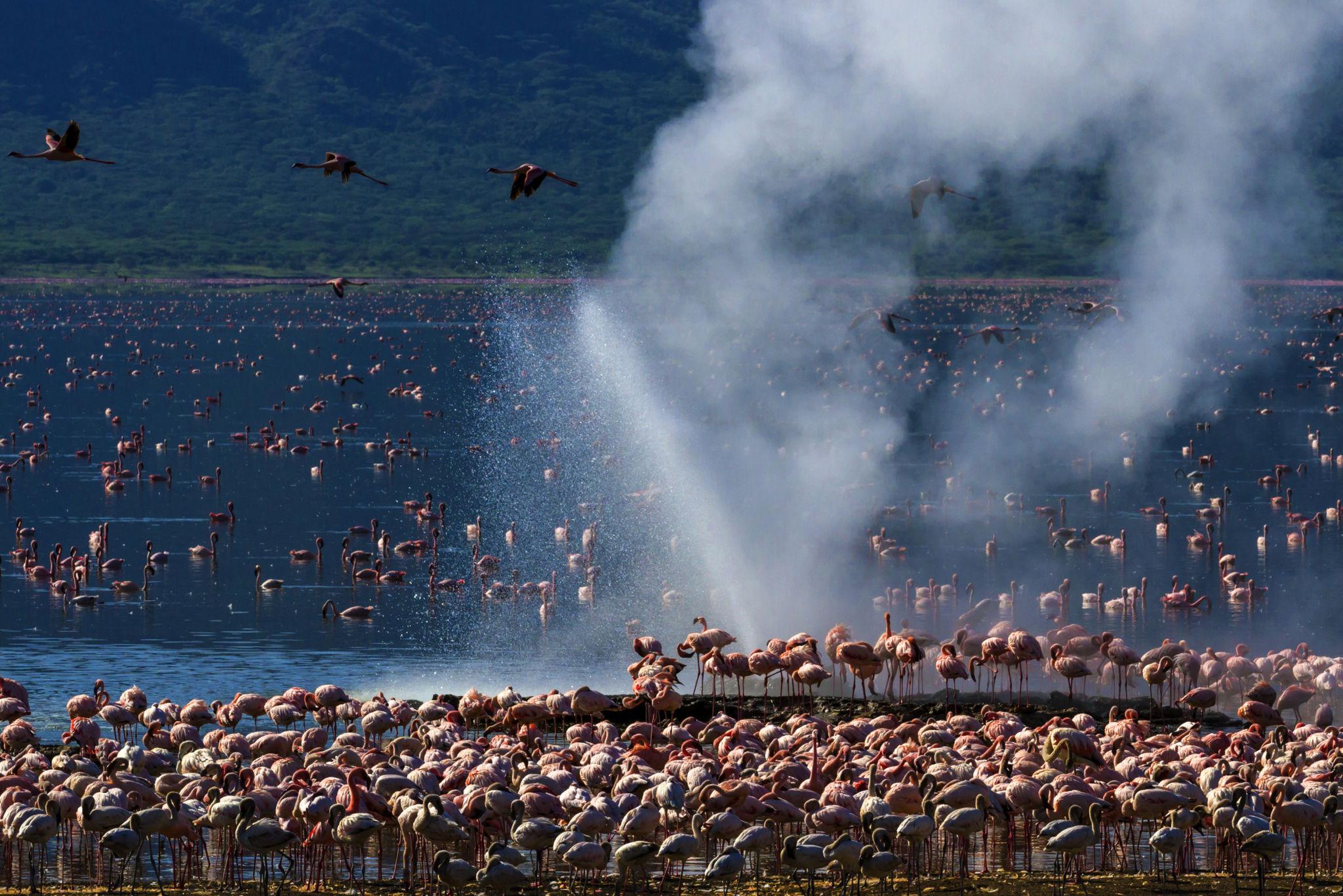 2-Day Lake Bogoria & Lake Baringo Safari from Nairobi – 1 Night Adventure