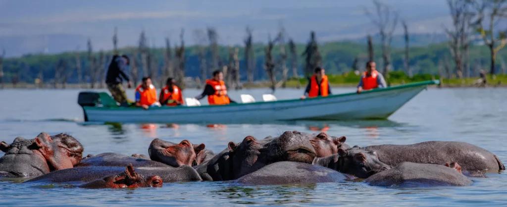 Best Lake Tours in Kenya