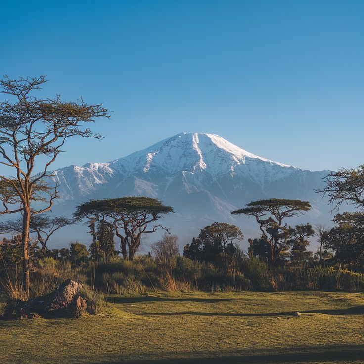 Mount Kenya from a distance