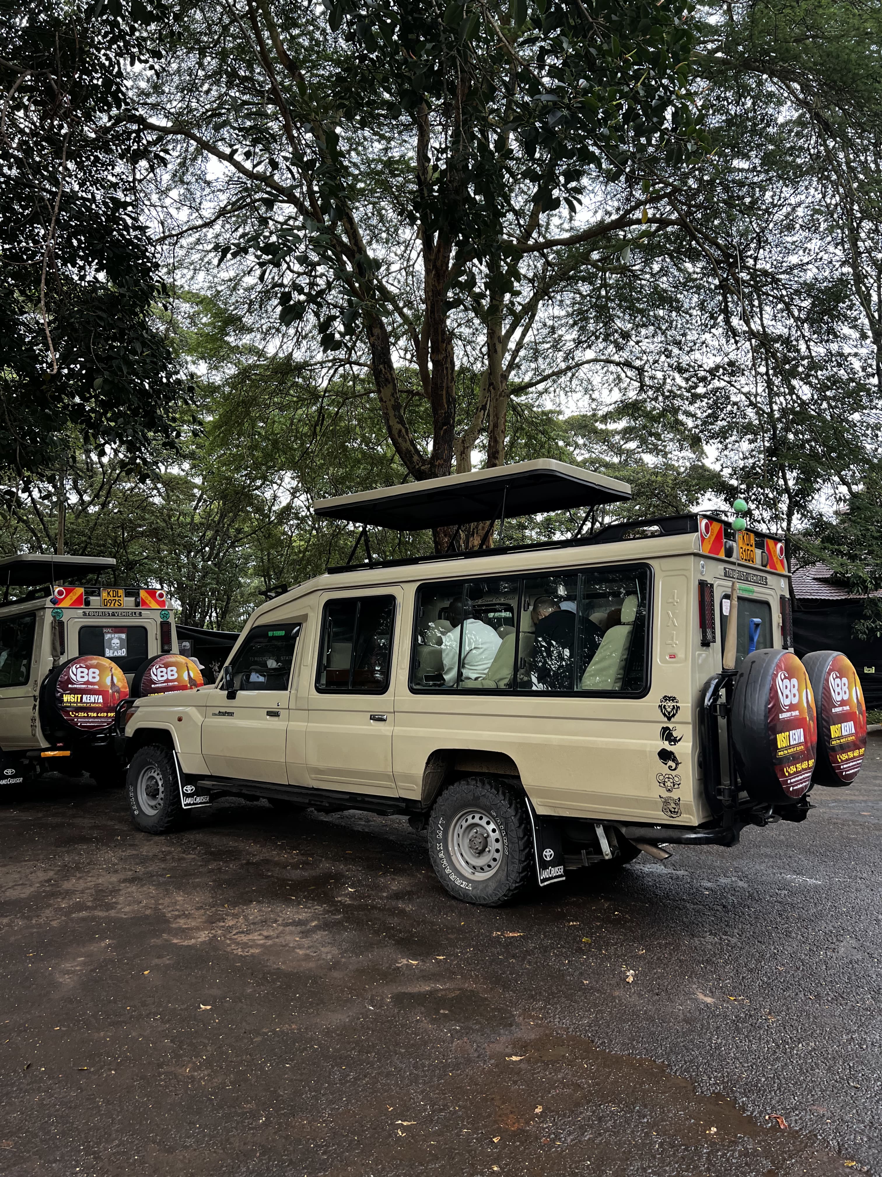 Nairobi national park game drive 