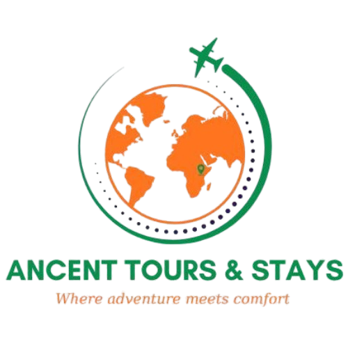 Ancent Tours Logo