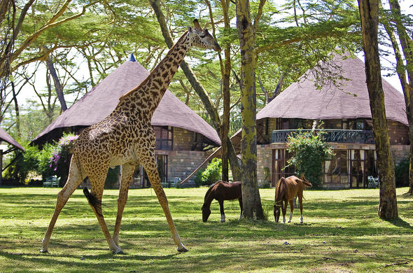 Romantic Weekend at Lake Naivasha